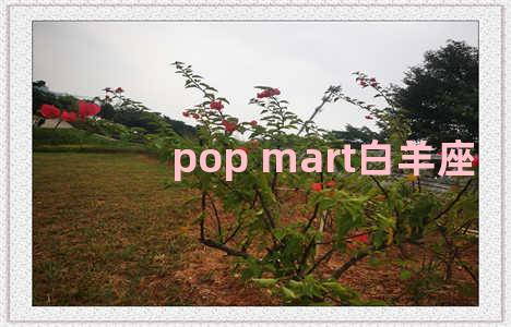 pop mart白羊座